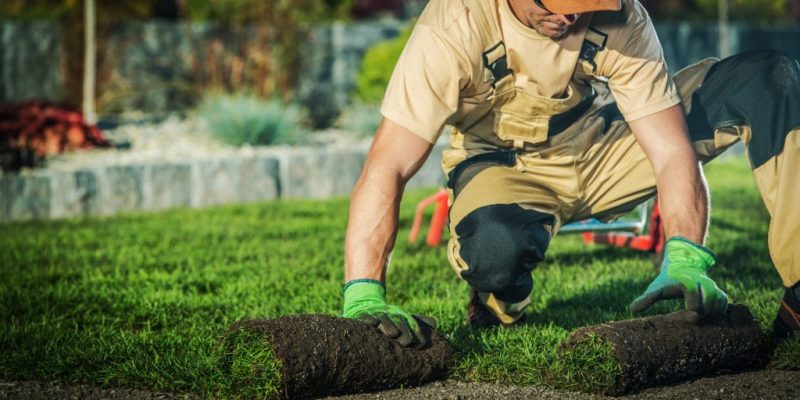 Cesped-en-tepe-1024x683