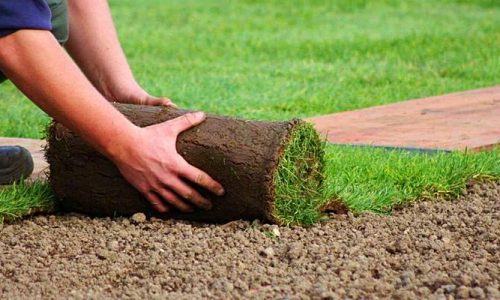 almacenamiento-cuidados-cesped-natural-tepes0