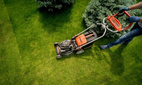 gardener-mowing-lawn-landscape-design-green-grass-background