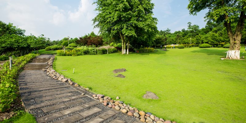 Grassland landscape and greening environment park background