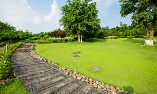 Grassland landscape and greening environment park background