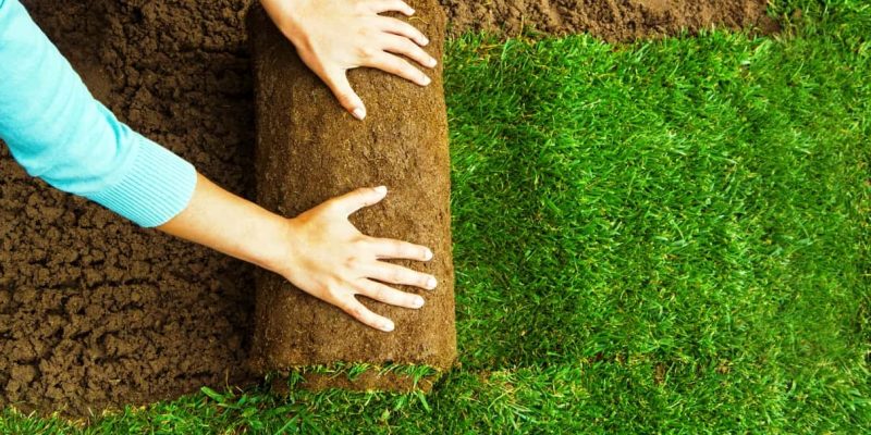 instalar_tepe_cesped