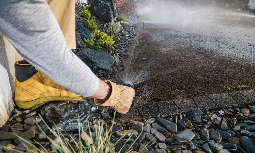 Landscaping Worker Adjusting Garden Water Sprinkler in a Newly Build Residential Backyard Garden. Modern Irrigation Systems. Gardening and Landscaping Theme.