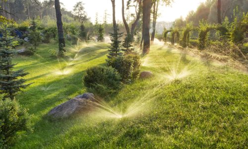 The nozzle of the automatic watering system waters a green lawn.
